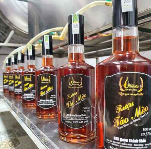 Rượu táo mèo đặc sản Tây Bắc rượu Việt Nam