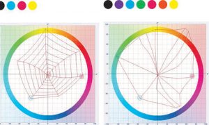 Multi Color - Mở rộng màu in